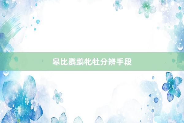 皋比鹦鹉牝牡分辨手段